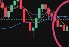 Mistral米斯特风控预警-皆妙笔