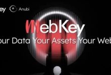 警惕 WkeyDAO 分红资金盘：26 万会员背后的圈钱陷阱-皆妙笔