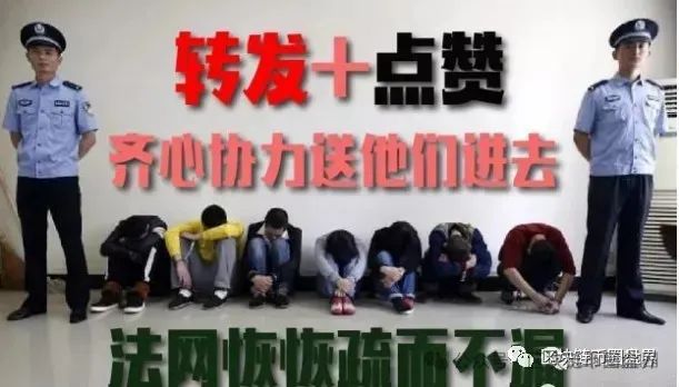 年关将至，警惕"CodexField"这颗币圈地雷！-皆妙笔