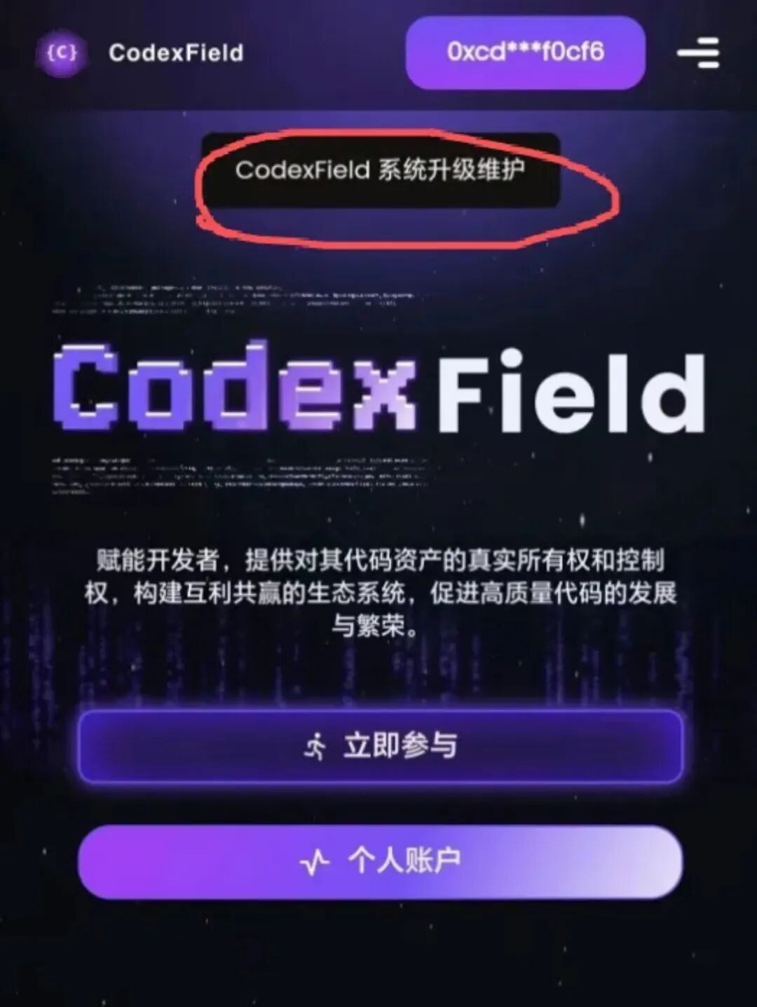Codexfield崩盘了，暂停提现，关闭闪兑，各大群开启禁言-皆妙笔