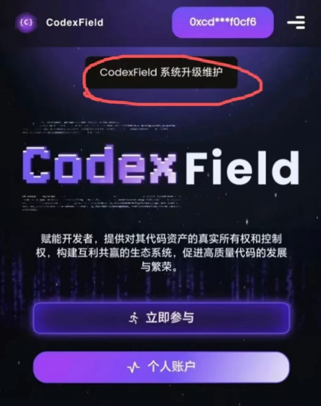 “Codexfield”技术升级暂停提现关闭闪兑，曾自称为币安的亲儿子也暴雷了！-皆妙笔