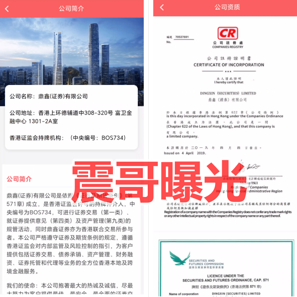 鼎鸿鑫源是境外杀猪盘骗局，高度预警，小心崩盘跑路-皆妙笔