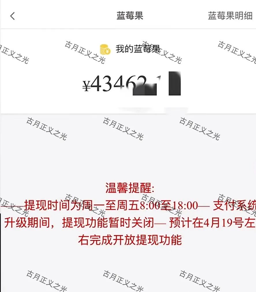 蓝莓甄选抢单寄售类资金盘骗局，“艾兴合”同模式，已经不能提现，崩盘软跑路了…-皆妙笔