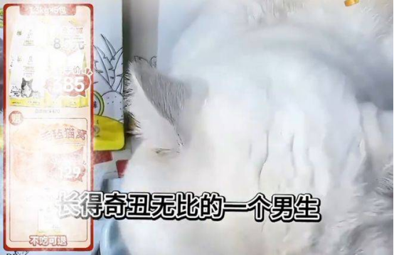 10亿级品牌“诚实一口”主播当众辱骂代言人，4个月内翻车2次-皆妙笔