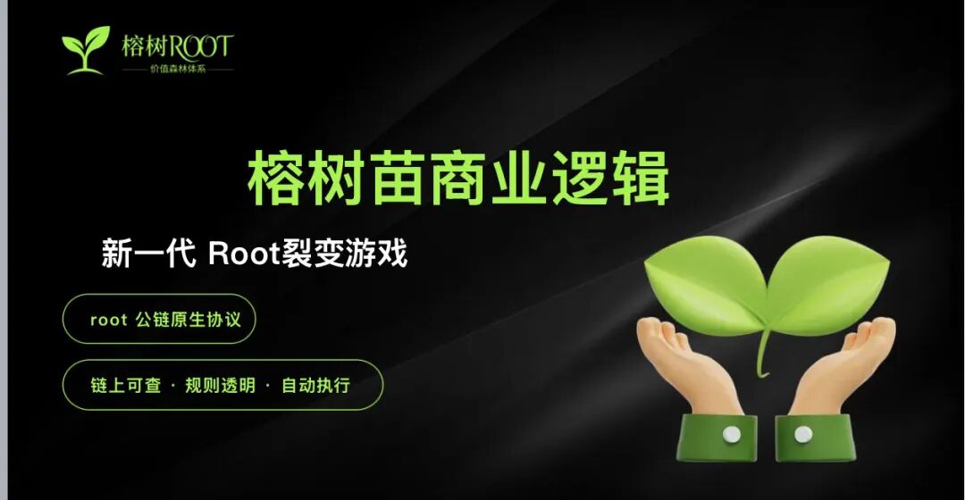 警惕“榕树ROOT”：打着Web3旗号的典型资金盘骗局！！-皆妙笔