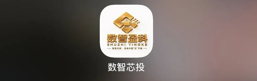 紧急预警：数智盈科（数智芯投 iChip 盈）纯资金盘，千万别投！！-皆妙笔