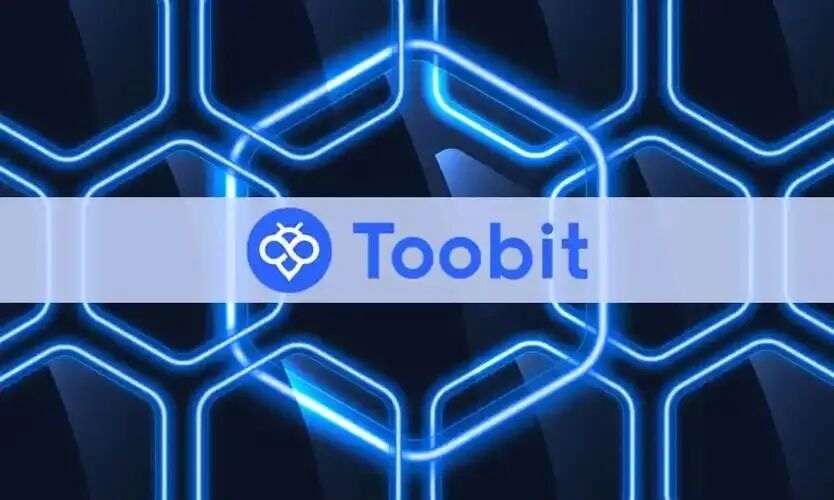 警惕：TOOBIT（图比特）离岸交易所层层陷阱！牌照造假、盈利锁仓、杀猪盘疯狂收割国内投资者-皆妙笔