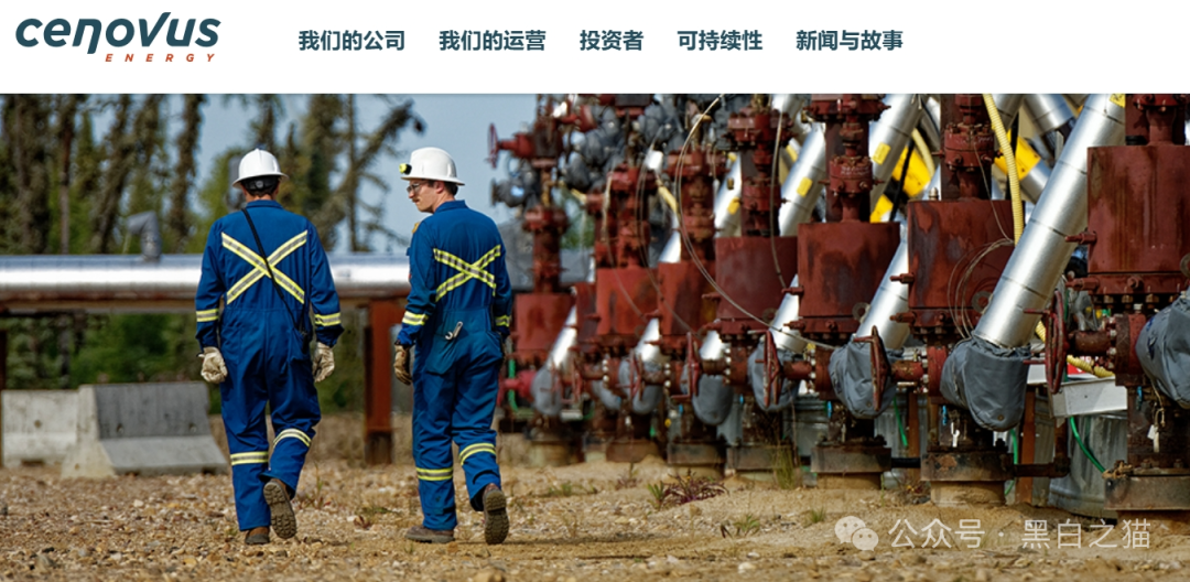 Cenovus能源碰瓷国外巨头被扒，漏洞百出妥妥诈骗盘-皆妙笔