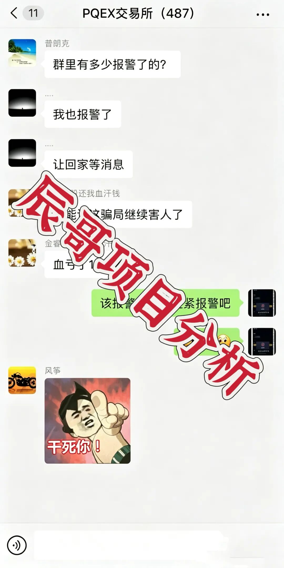 金睿控股PQEX交易所割完又割，操盘手疯狂单割会员崩盘在即-皆妙笔
