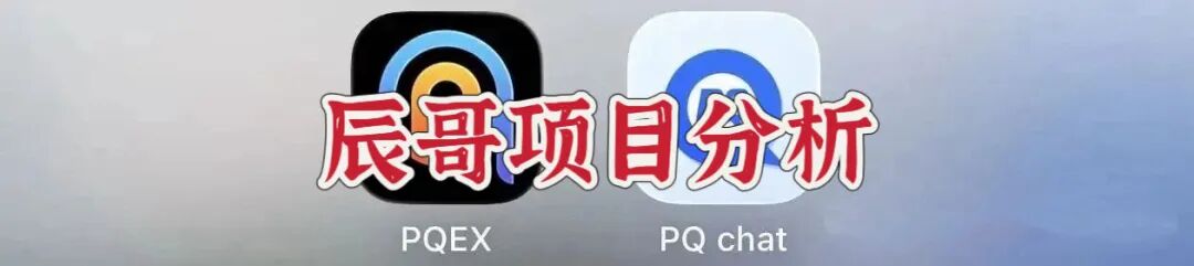 金睿控股PQEX交易所骗局！虚假外汇资金盘，传销收割套路，不要上当受骗！-皆妙笔